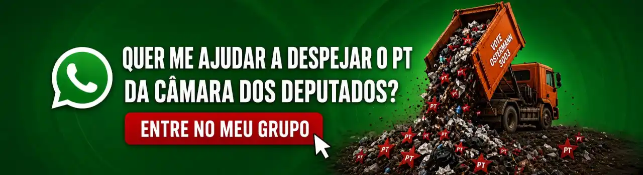 fabio ostermann candidato deputado federal pelo rio grande do sul 2026 pelo partido novo, candidato a deputado federal de direita rs, candidato ficha limpa rs, partido novo, candidato liberal, candidato a deputado federal rs 2026, eleicoes 2026, candidato a deputado federal honesto, em quem votar para deputado federal rs, fora pt, fora lula, fora esquerda